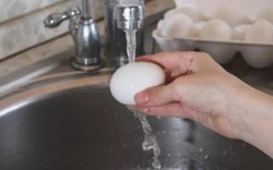 Tại sao không nên rửa trứng đã luộc bằng nước máy? Rất nhiều người vẫn làm mà không biết đó là sai lầm
