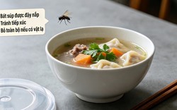 Con ruồi rơi vào bát canh: Chỉ là một con ruồi thôi, vớt ra rồi đun sôi lại là vẫn ăn được bình thường?