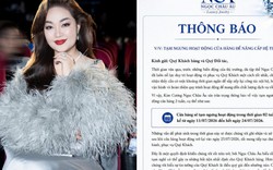 Tiệm vàng của Á hậu Hoàng Thanh Nga thông báo tạm ngừng hoạt động 2 tuần để "nâng cấp hệ thống" trước khi giám đốc bị khởi tố