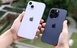 2 mẫu iPhone dần biến mất tại Việt Nam