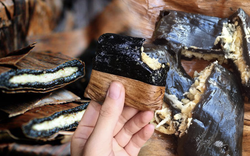 Vì sao gọi là bánh gai?