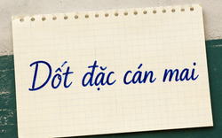 Vì sao gọi là "Dốt đặc cán mai"?