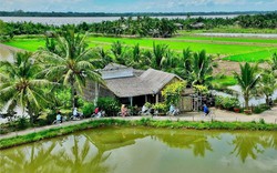 Việt Nam có 1 phường đứng Top 3 không khí trong lành nhất Đông Nam Á, chỉ số ô nhiễm thấp đến mức khiến chuyên gia sức khỏe cũng bất ngờ