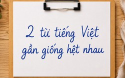 Hai từ tiếng Việt chỉ khác một dấu, nhiều người thường xuyên viết nhầm: Một từ đúng, một từ không hề tồn tại trong từ điển