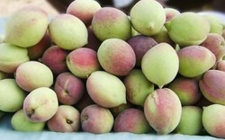 Loại quả "chống viêm tự nhiên", chỉ số đường huyết thấp đang bán đầy chợ Việt: Siêu bổ dưỡng, chuyên gia khuyên nên ăn nhiều