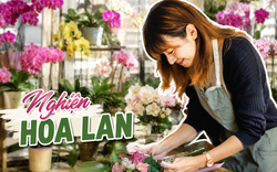 Cô gái khoe phòng khách kín hoa lan và quả quyết: "Tôi sẽ không mua thêm nữa", nhưng ai nhìn cũng chỉ biết bật cười