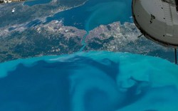 Ảnh hiếm vùng biển đổi màu từ vũ trụ: Vòng xoáy xanh khổng lồ hiện rõ, NASA phải chú ý