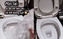 "Học lỏm" trên mạng bỏ đá vào bồn cầu để làm sạch: Không ngờ lại nhanh gọn, hiệu nghiệm đến vậy!