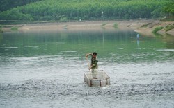 Bỏ phố về quê nuôi con cá rẻ như cho nhưng được xem như "thuốc đại bổ", thanh niên 9X xây trang trại doanh thu tiền tỷ