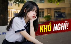 Nêu nguyện vọng chọn ngành nhưng bị mắng bất hiếu, nữ sinh 2k8 băn khoăn: "Em có ích kỉ quá không"?