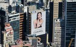 Xét xử vụ trộm hơn 700 túi Chanel: 9 năm sau, phiên tòa bất ngờ khiến bị hại thành tâm điểm tranh cãi