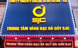 Cựu Tổng Giám đốc SJC chỉ đạo trưởng phòng kinh doanh nhập lậu kim cương, đưa vào hệ thống bán lẻ
