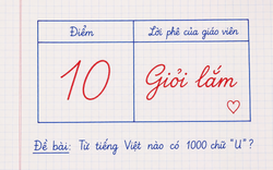 Từ tiếng Việt nào có 1000 chữ U? - 99% nghe xong là vò đầu bứt tai