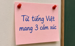Từ tiếng Việt nào khiến Google Dịch phải "đầu hàng" vì gói trọn 3 cảm xúc trong 1 chữ?