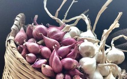 Hành, tỏi nên mua loại màu trắng hay tím?