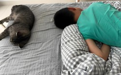 Cách nhanh nhất khiến con hư hỏng chính là buông lỏng cho con làm 4 điều này, cha mẹ đừng chủ quan