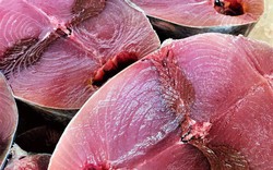 5 loại cá giàu protein bậc nhất