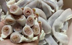 'Lòng se điếu' hình thành từ ruột non nhiễm giun sán, nhiễm độc