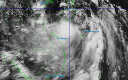 Bão số 1 Maysak giật cấp 11 đang tiến vào vịnh Bắc Bộ, 11 tỉnh thành khẩn trương ứng phó