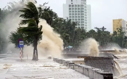 Hải Phòng cấm tàu thuyền ra khơi