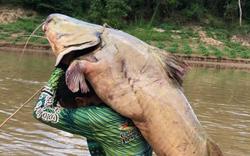 Cần thủ bắt được con cá trê nặng 68kg trên sông