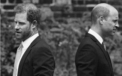Vì sao Thân vương William sẽ không gặp Vương tử Harry?