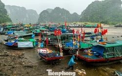 Bão số 1 áp sát Quảng Ninh, ngư dân dầm mưa chằng chống tàu thuyền tránh bão