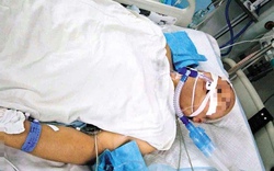 Người đàn ông 40 tuổi ngộ độc suýt chết sau khi ăn nửa quả dưa chuột, bác sĩ hốt hoảng: "Độc hơn thạch tín"
