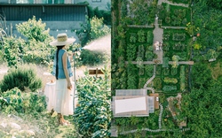 Ngôi nhà đem lại cái "khổ" mà nhiều người tuổi 30 thèm khát