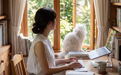Người có tiền có thuê nhà không?
