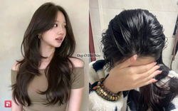 Tóc nhanh bết không phải do cơ địa, mà vì 6 sai lầm ai cũng từng mắc