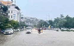 Miền Bắc đón đợt mưa rất lớn, có nơi vượt 300mm