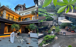 "Công viên" trong nhà, rạp chiếu phim 770 triệu: Cảm giác sống trong biệt thự 1000m2 là thế này sao?