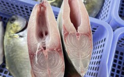 3 loại cá nhiều thịt ít xương, đang vào "mùa vàng" ở chợ