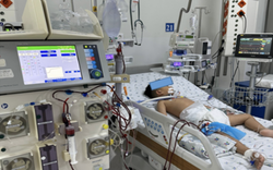 Bé trai 4 tuổi nguy kịch vì uống quá liều paracetamol: Bác sĩ cảnh báo sai lầm nhiều phụ huynh dễ mắc khi con sốt