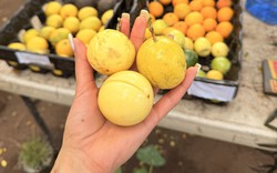 Chợ Việt có 4 thực phẩm màu vàng được ví như "thần dược" mùa thu