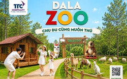TTC World – Thung lũng Tình yêu ra mắt Dalazoo, mở rộng hệ sinh thái trải nghiệm