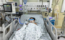 Ăn chuột đồng, 3 chị em ngộ độc thuốc diệt chuột