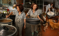 Suy thận giai đoạn 4, tim đập 37 lần/phút, từng điều trị ung thư: Người mẹ 56 tuổi ở lại vì 400 "đứa con"