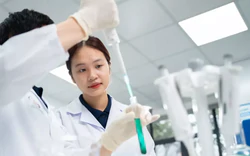 'Chốt' mức lương 300 triệu đồng/tháng với Tổng công trình sư