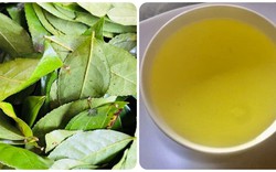 Điều gì sẽ xảy ra với cơ thể nếu bạn uống nước chè xanh mỗi ngày?