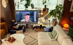 Vì sao hội 30s bỏ thiết kế TV treo tường trong phòng khách?