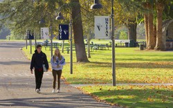 Điểm cao, hoạt động ngoại khoá dày, vẫn nhận thư từ chối: chuyện gì đang xảy ra với hồ sơ du học của bạn?