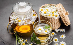 Uống trà hoa cúc mỗi ngày để "thải độc gan", 6 tháng sau người đàn ông nhận kết quả bất ngờ