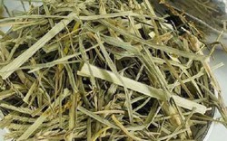 Thứ cỏ mọc dại "nhổ đi không hết" lại là vị thuốc quý giúp thanh nhiệt, mát gan
