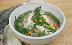 Vào thu, đừng bỏ qua 4 loại cá này: Được ví như “trợ thủ” cho tỳ vị, giúp cơ thể khỏe mạnh và tăng sức đề kháng
