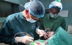 Bé 27 tháng tuổi chấn thương sọ não sau cú ngã