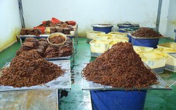 Đột kích "xưởng" "phù phép" 130 tấn thịt trâu Ấn Độ thành khô bò: Thu lời 21 tỷ, đem livestream rầm rộ trên TikTok Shop