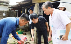 Sốt xuất huyết diễn biến phức tạp, một xã ghi nhận 21 ca mắc