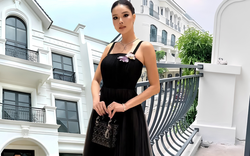 Mỹ nhân miền Tây cao 1m78 từng được chồng tặng biệt thự 10 tỷ, liên tục mua thêm BĐS cao cấp ở Hà Nội